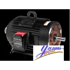 Yaskawa BlackMAX Series AC Motor