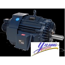 Yaskawa BlueMAX Series AC Motor